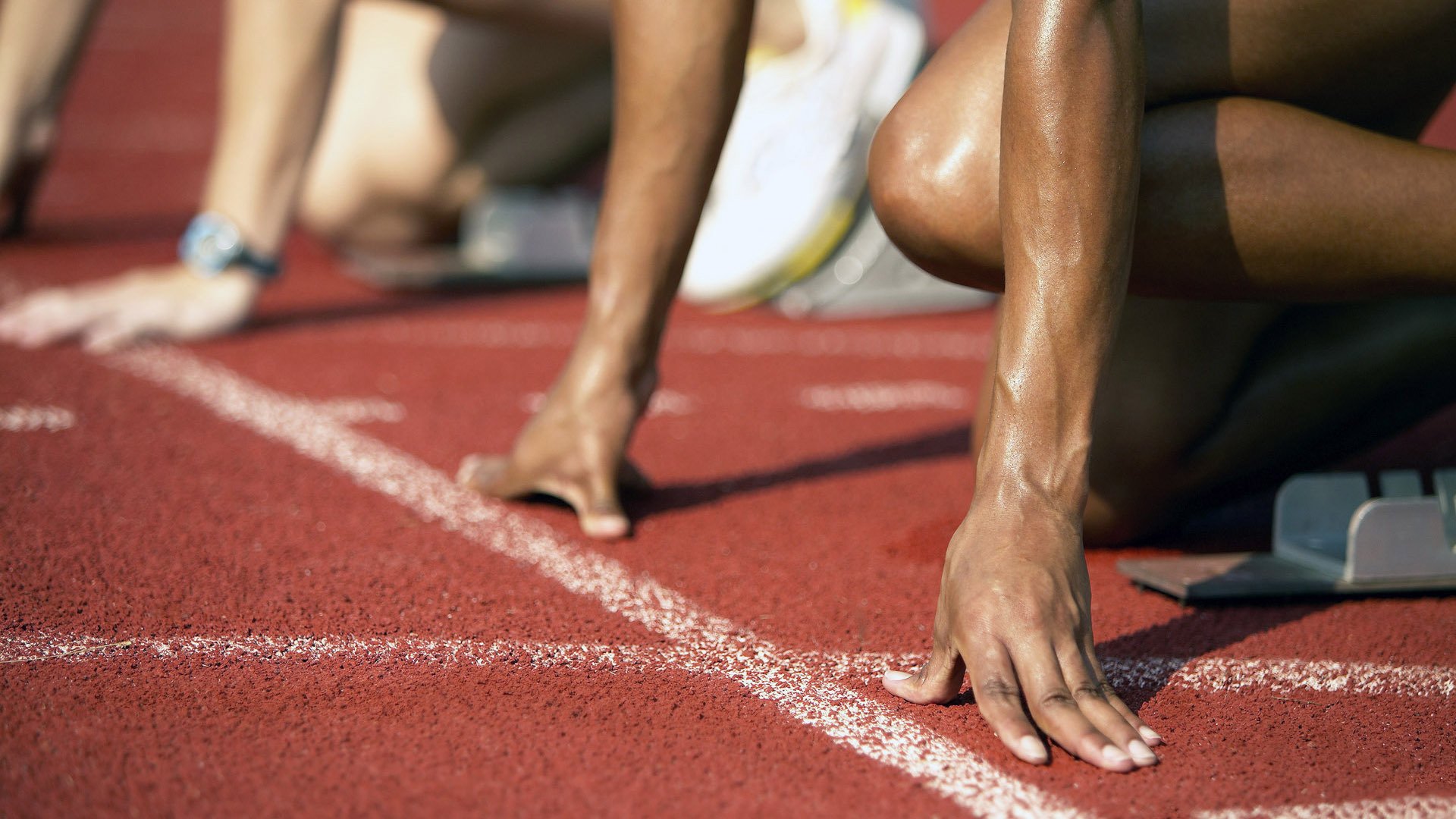 爱游戏官方-自由泳赛道划频波动数据首次发布,自由泳 划水频率